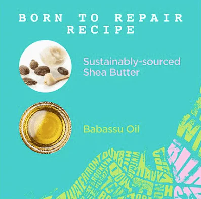 Carol’s Daughter Born to Repair Nourishing - Image 10