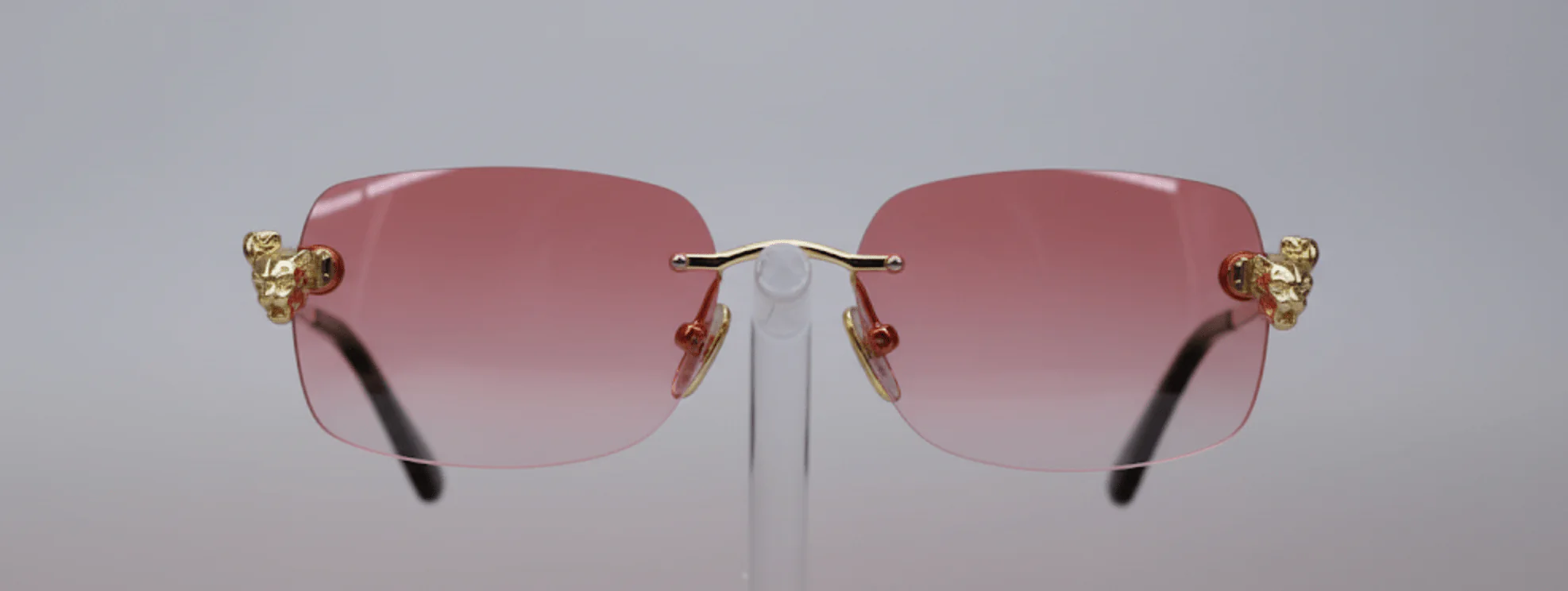 Chic Looks Sunglasses - EA0822