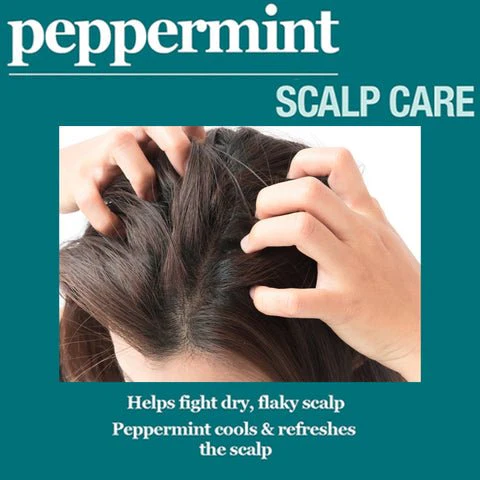 Difeel Peppermint Scalp Care Hair Mask – 12 oz - Image 3
