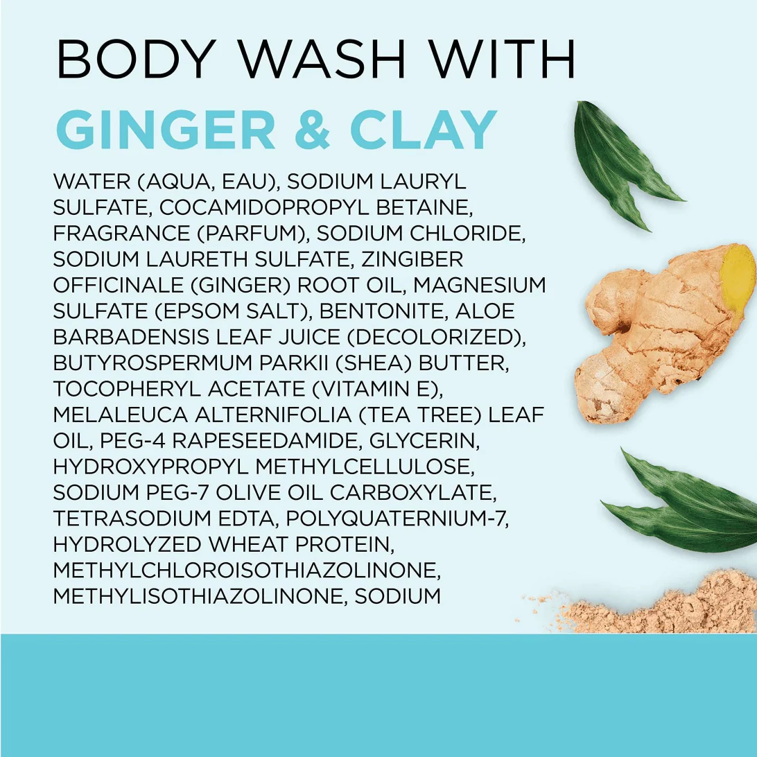 Dr. Teal's Detox & Energize with Ginger & Clay Body Wash – 24oz - Image 4
