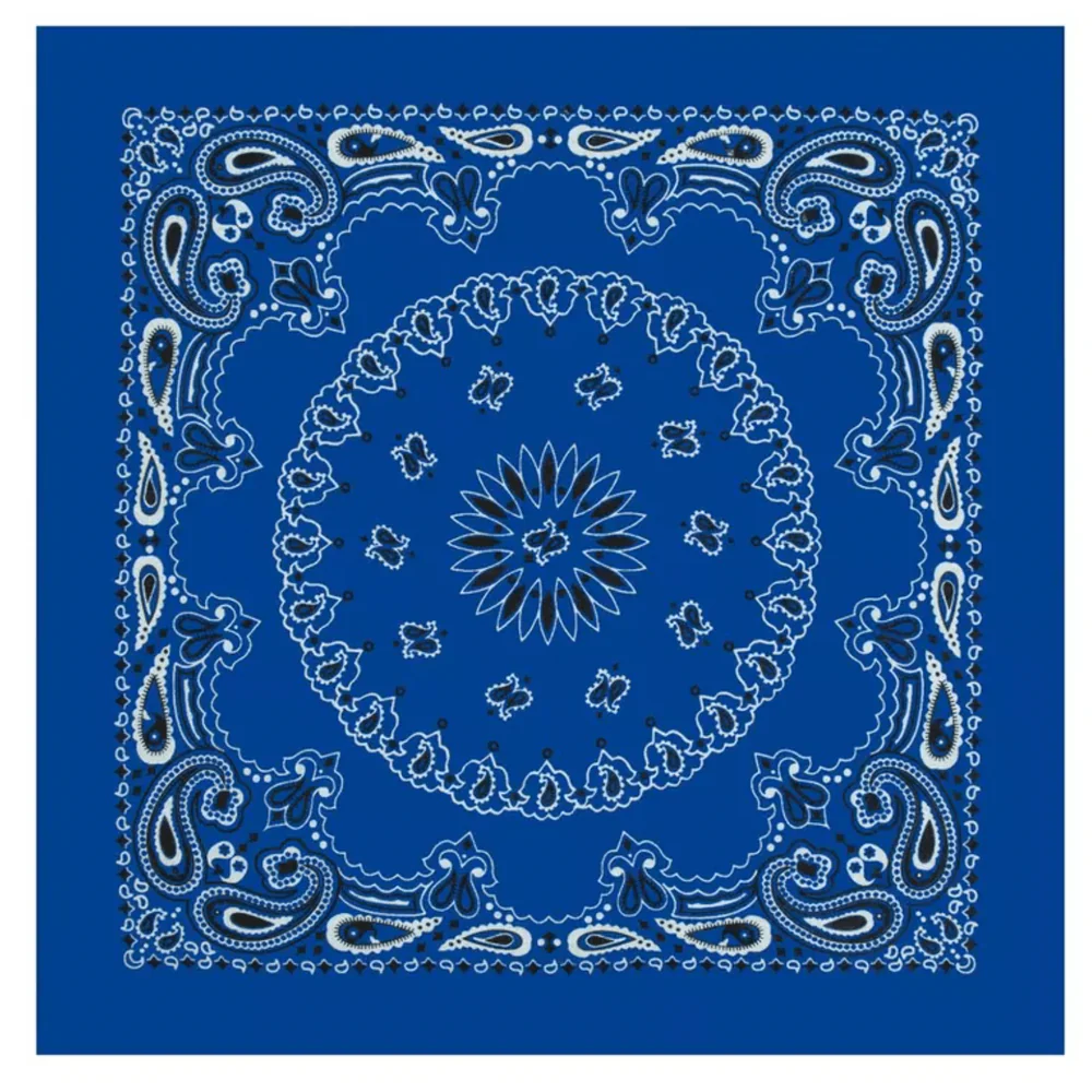 Eve Bandana – Assorted Colors & Prints - Image 8