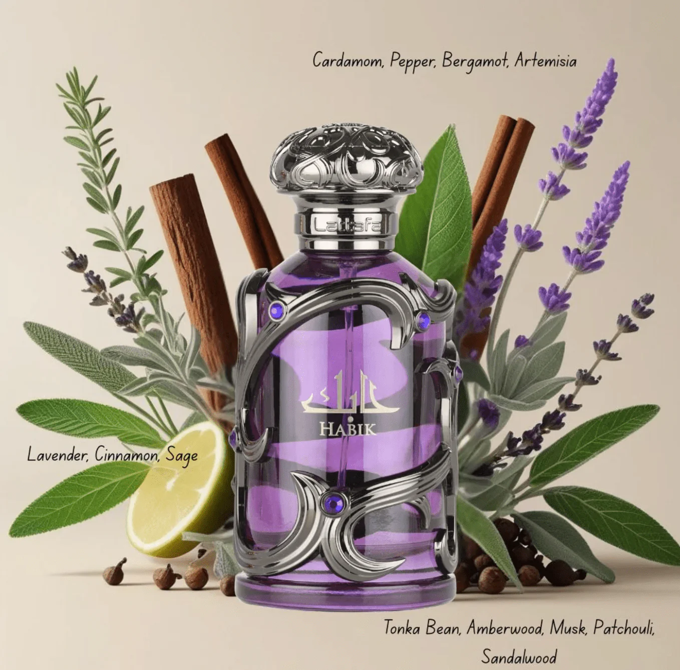 Lattafa Habik Men & Women Eau de Parfum - 100ml - Image 3