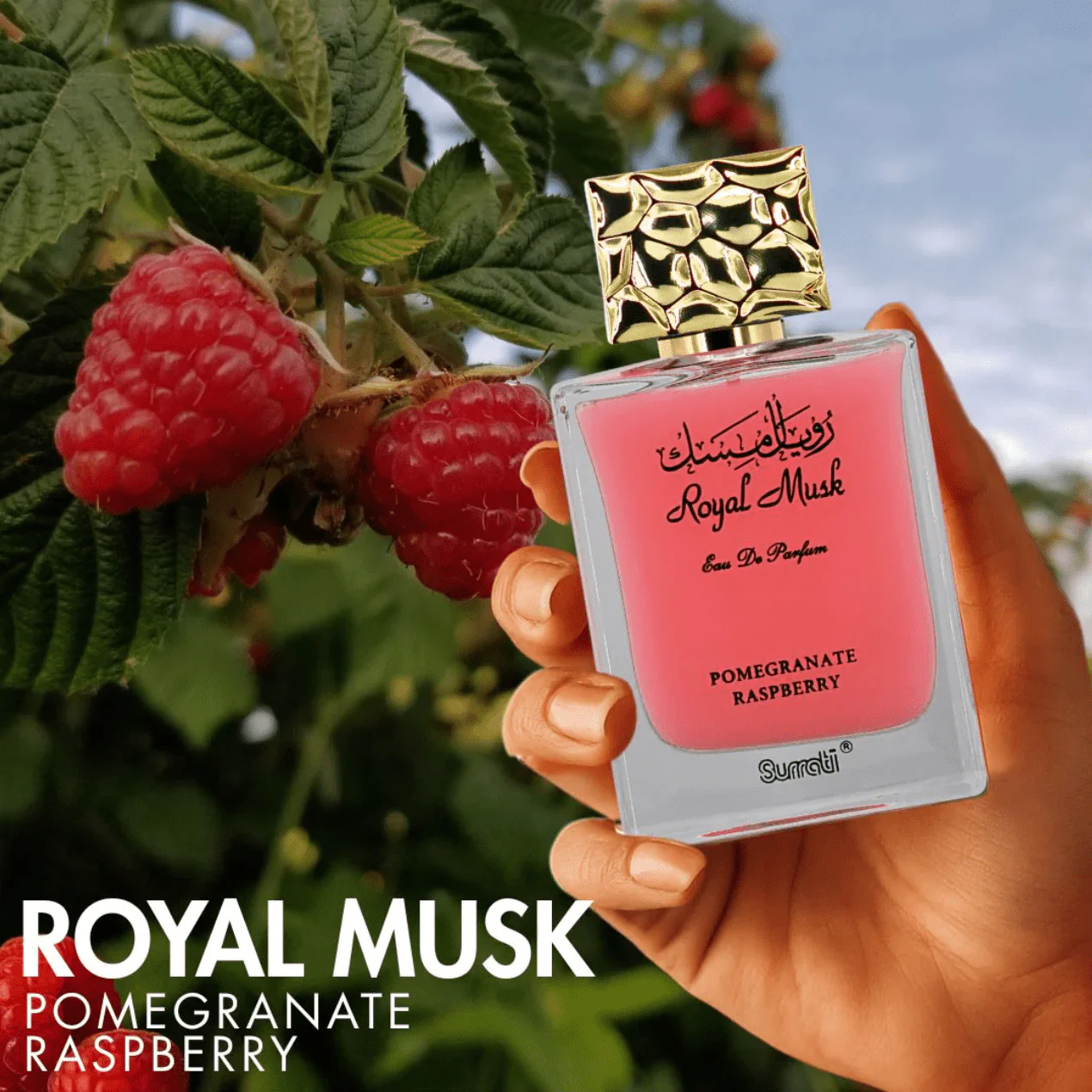 Royal Musk Pomegranate Raspberry EDP by Surrati – 3.4 oz - Image 7